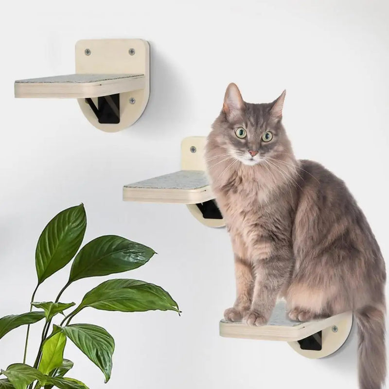 4 peças de prateleiras de escalada para gatos montadas na parede, conjunto de plataforma de madeira, canto da parede com plataforma de salto pequena para gatos, gatinho brincando